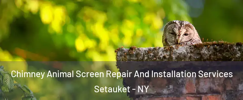  Chimney Animal Screen Repair And Installation Services Setauket - NY