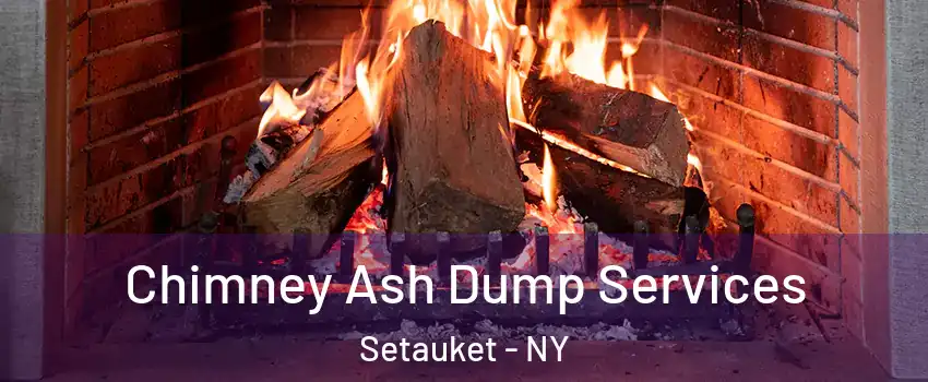  Chimney Ash Dump Services Setauket - NY