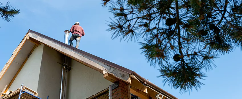 Birds Removal Contractors from Chimney in Setauket, NY