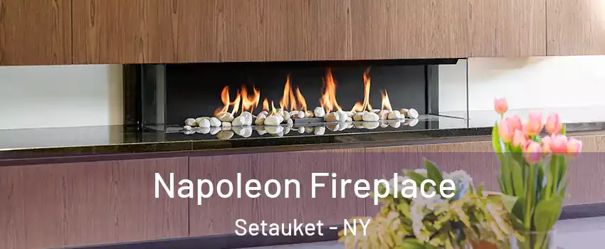  Napoleon Fireplace Setauket - NY